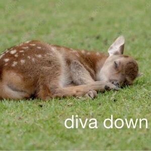 LIVE NOTIFICATIONS 🔔